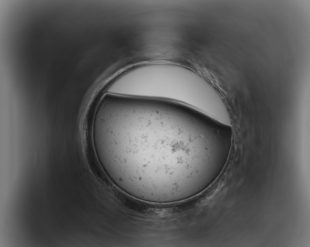 X0000093480295200710120959