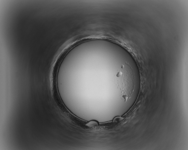 X0000093480296200710120959
