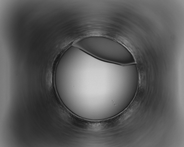 X0000093480301200710120959