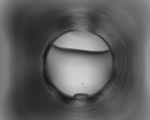 X0000093480303200710120959