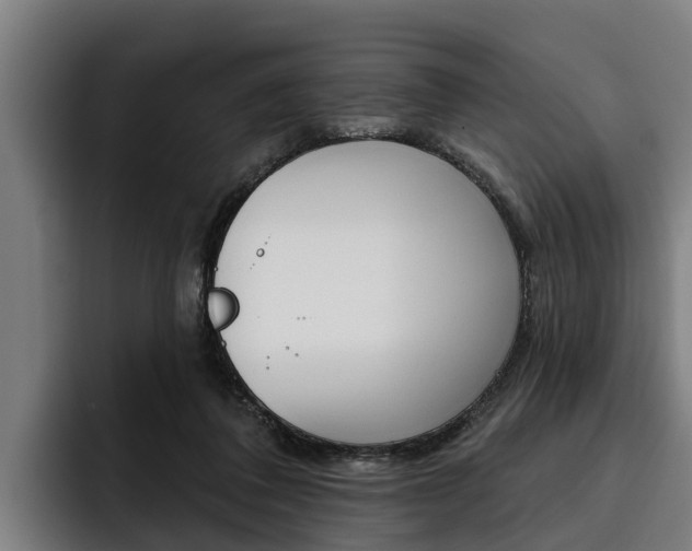 X0000093480308200710120959