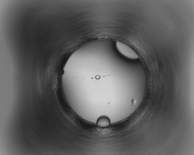 X0000093480311200710120959