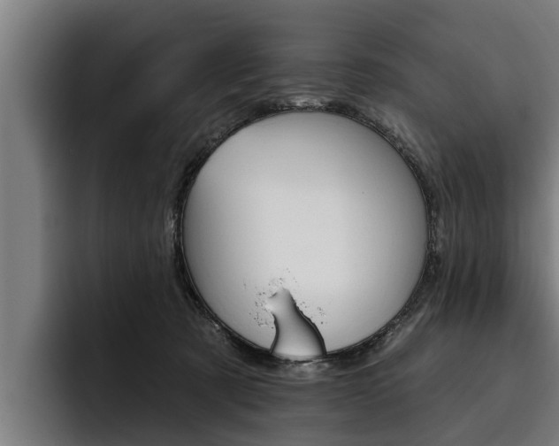 X0000093480321200710120959