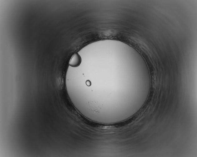 X0000093480324200710120959