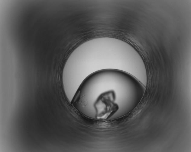 X0000093480325200710120959