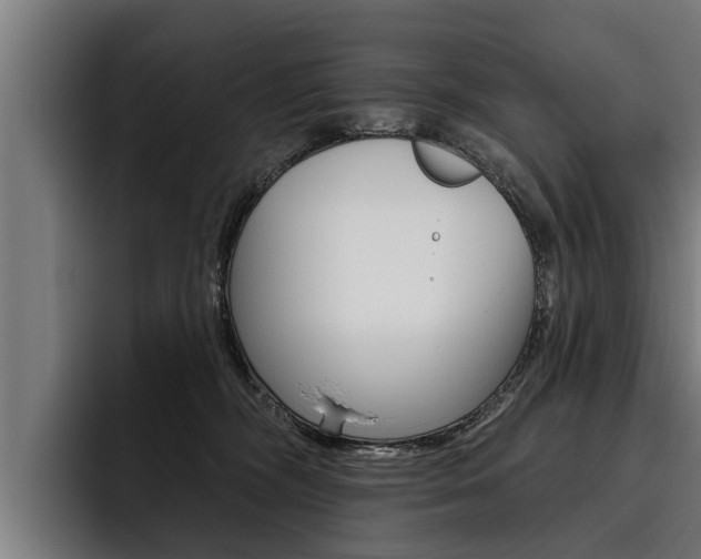 X0000093480326200710120959