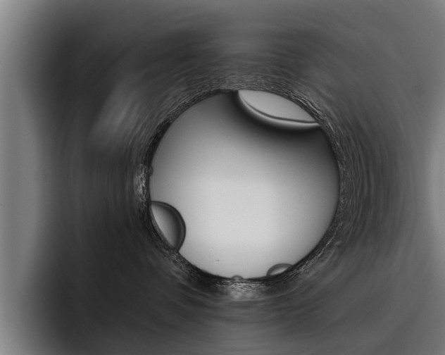 X0000093480336200710120959