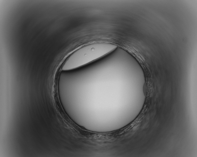 X0000093480338200710120958