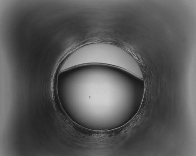X0000093480340200710120958