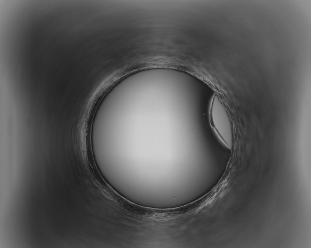 X0000093480341200710120958
