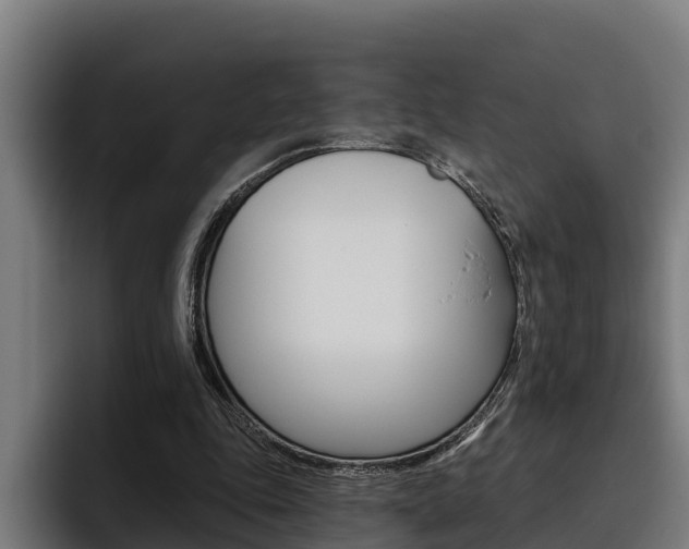 X0000093480343200710120958