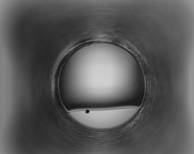 X0000093480344200710120958