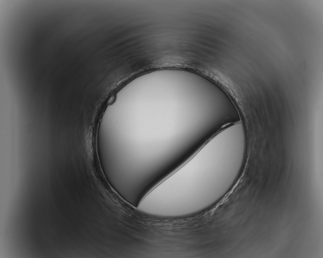 X0000093480345200710120958