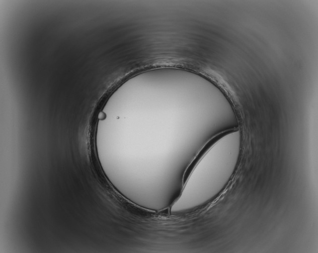 X0000093480346200710120958