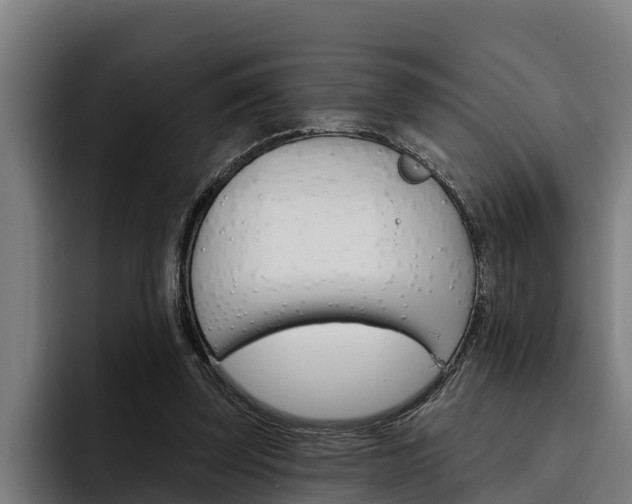 X0000093480347200710120958