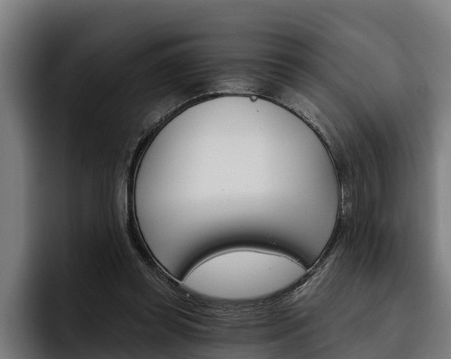X0000093480349200710120958