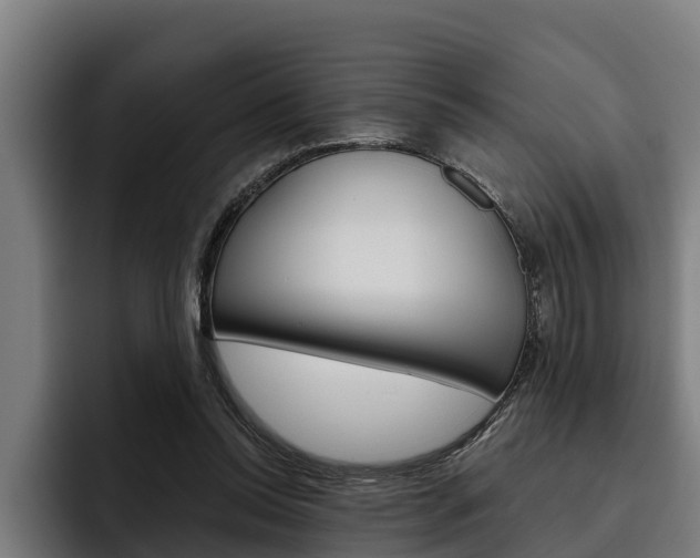 X0000093480350200710120958