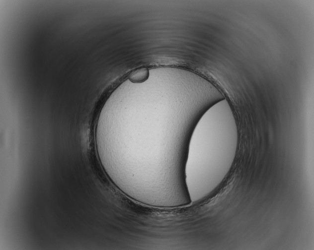 X0000093480351200710120958