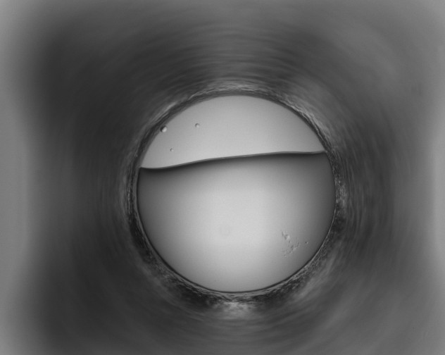 X0000093480352200710120958