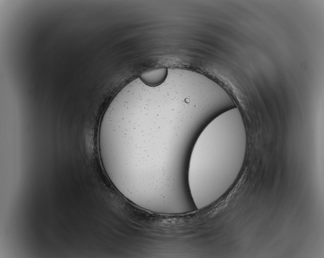 X0000093480353200710120958