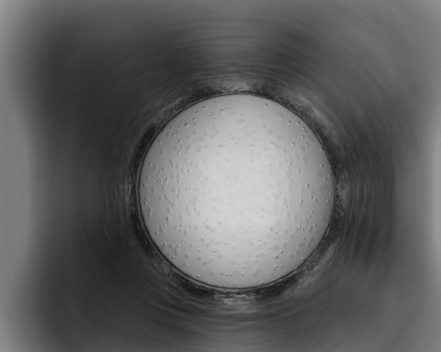 X0000093480359200710120959