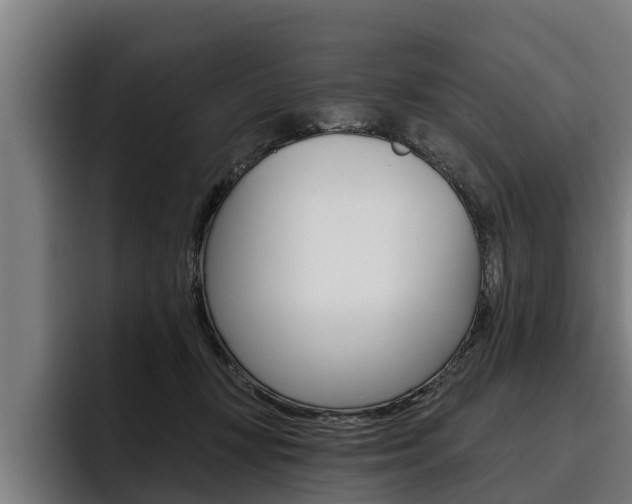 X0000093480367200710120959