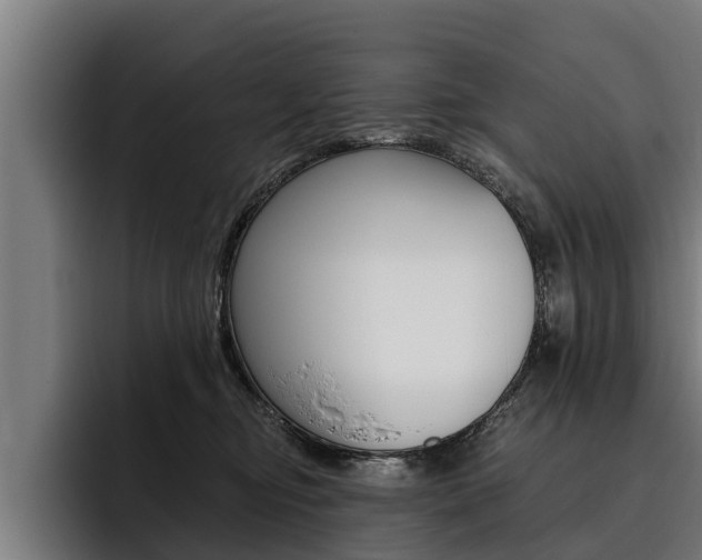 X0000093480374200710120959