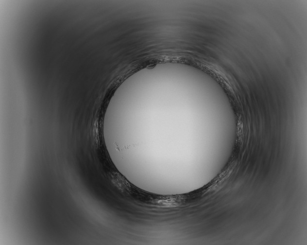 X0000093480381200710120959