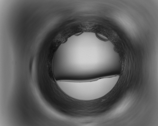 X0000093480383200710120959