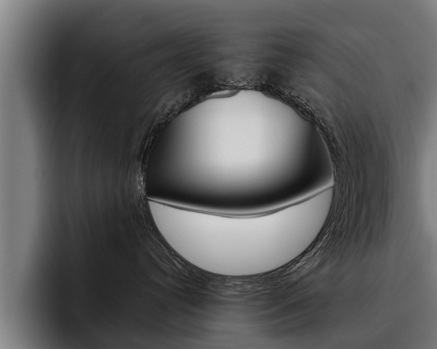 X0000093480384200710120959