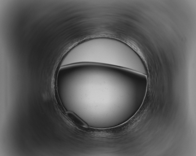 X0000093480389200710120958