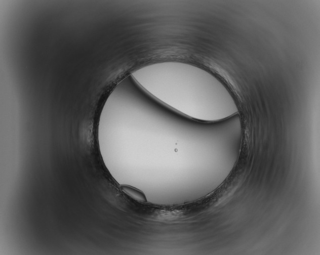 X0000093480403200710120958