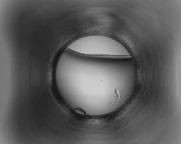 X0000093480404200710120958