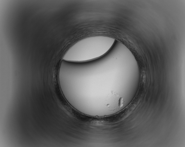 X0000093480408200710120958