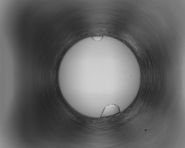 X0000093480411200710120958