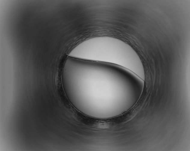 X0000093480416200710120958