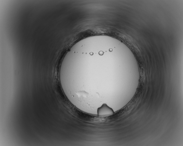 X0000093480418200710120958