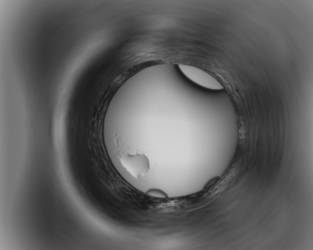 X0000093480430200710120958