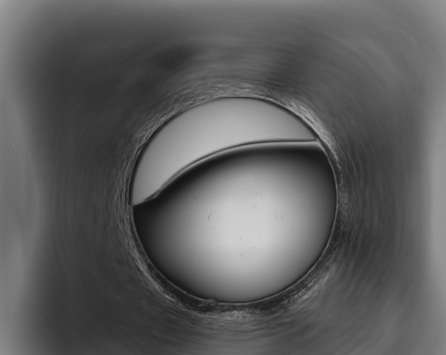 X0000093480433200710120957