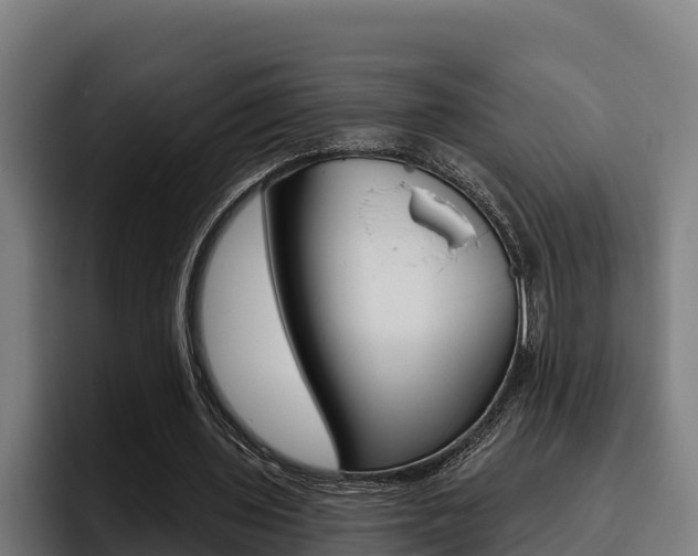 X0000093480435200710120957