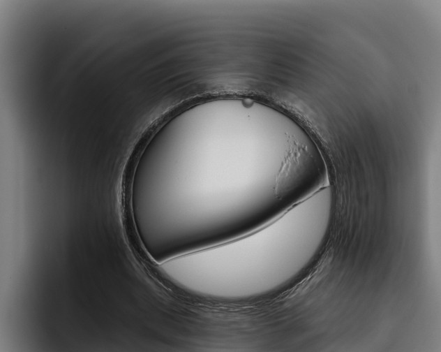 X0000093480439200710120957