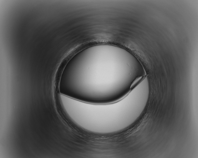 X0000093480440200710120957