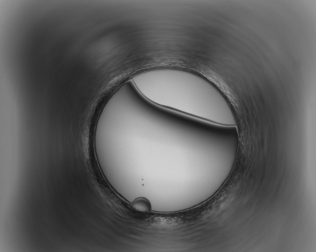 X0000093480442200710120957