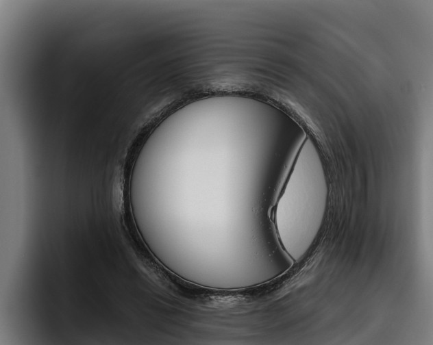 X0000093480446200710120957