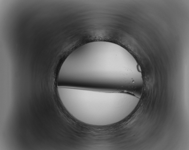 X0000093480450200710120957