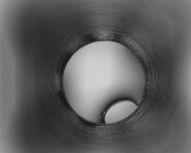 X0000093480469200710120958