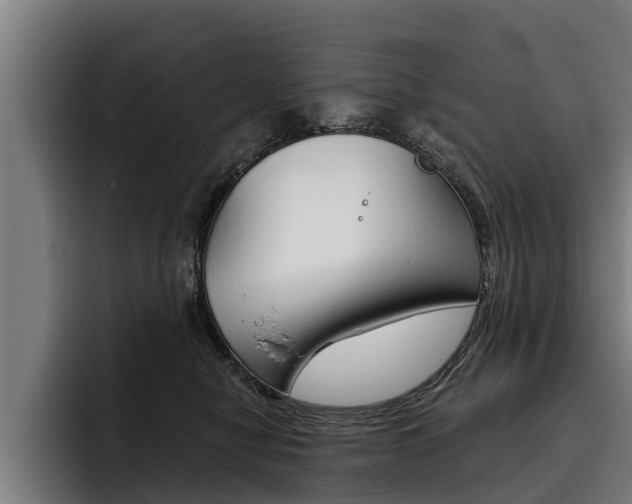 X0000093480470200710120958