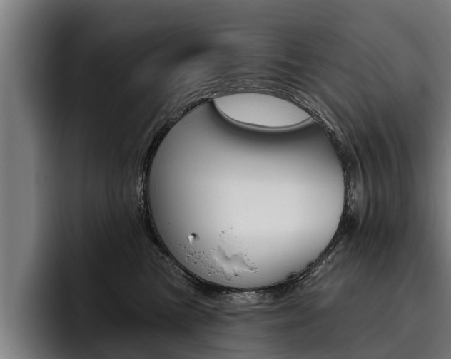 X0000093480473200710120958