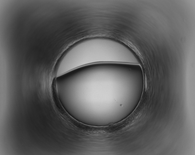 X0000093480483200710120957