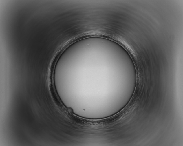 X0000093480486200710120957